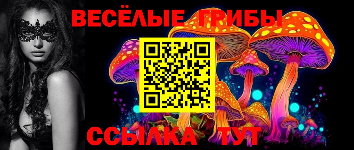 Липецк  Псилоцибиновые грибы Magic Shrooms  Вход с VPN 